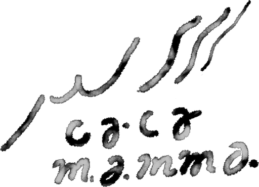 cacamamma ロゴ